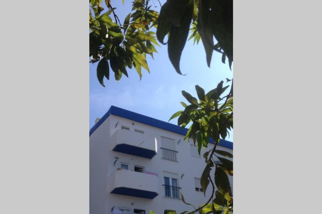 Casa Bela Vista Lagos Center Apartment Ngoại thất bức ảnh